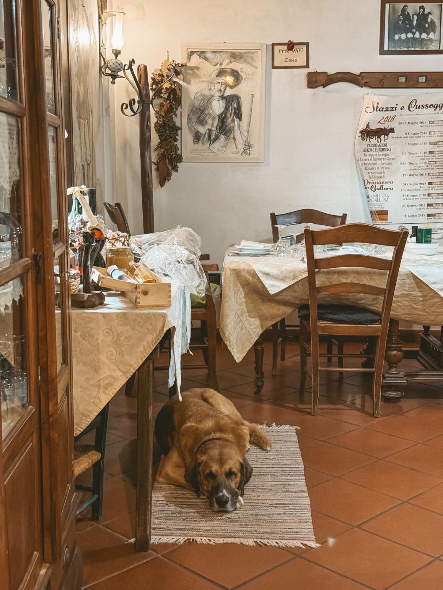 Agriturismo Il Muto Di Gallura Aggius المظهر الخارجي الصورة