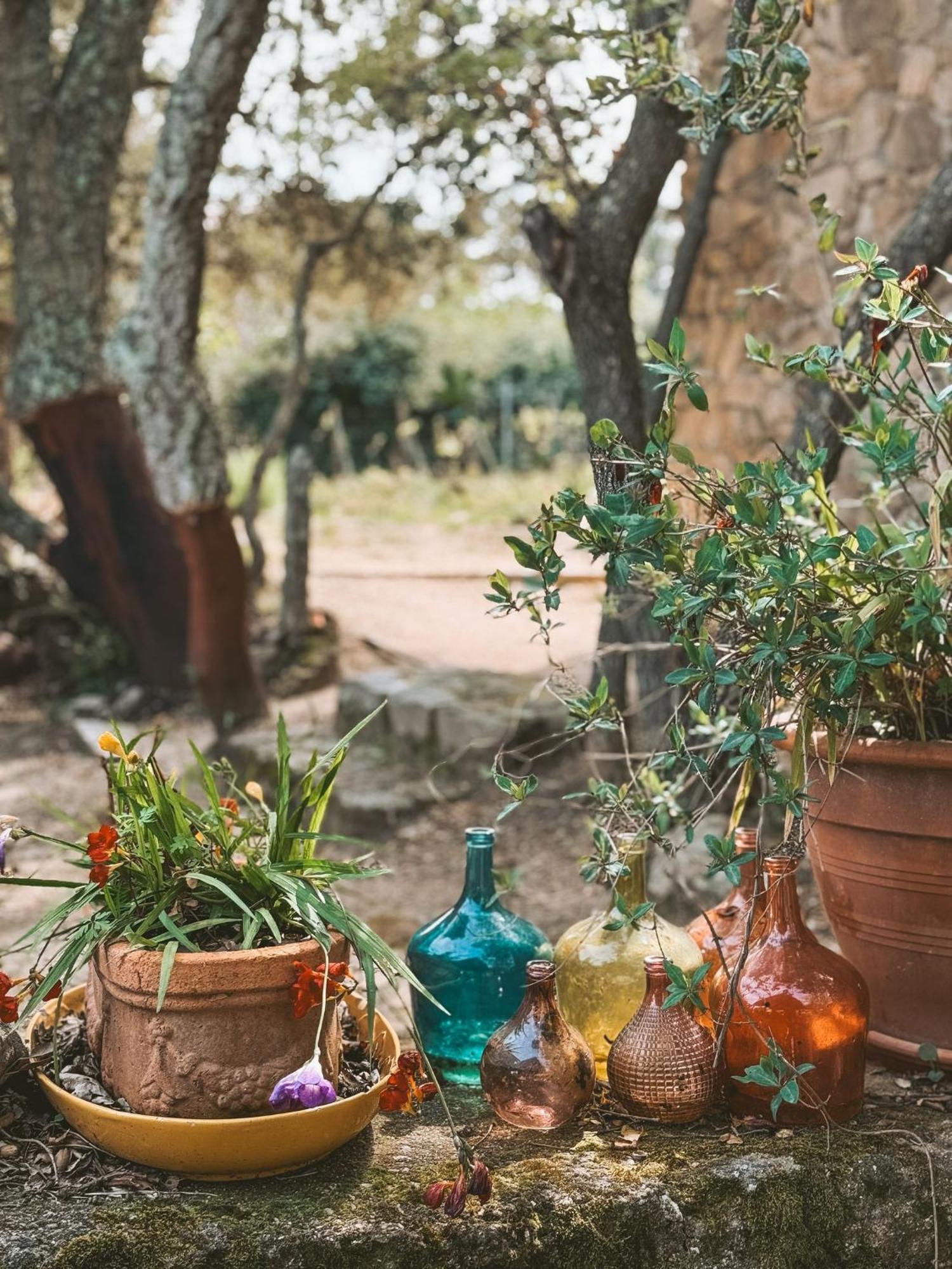 Agriturismo Il Muto Di Gallura Aggius المظهر الخارجي الصورة