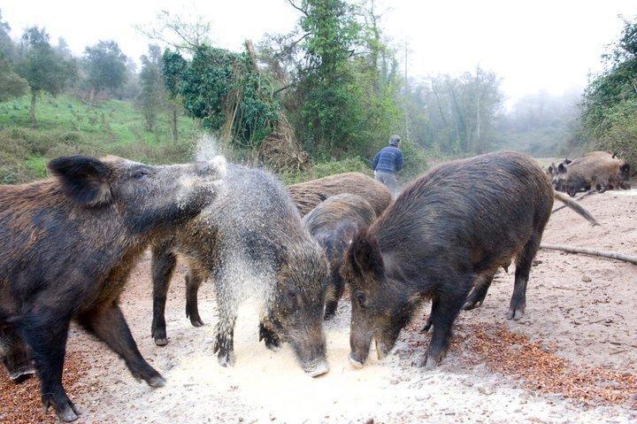 Agriturismo Il Muto Di Gallura Aggius المظهر الخارجي الصورة