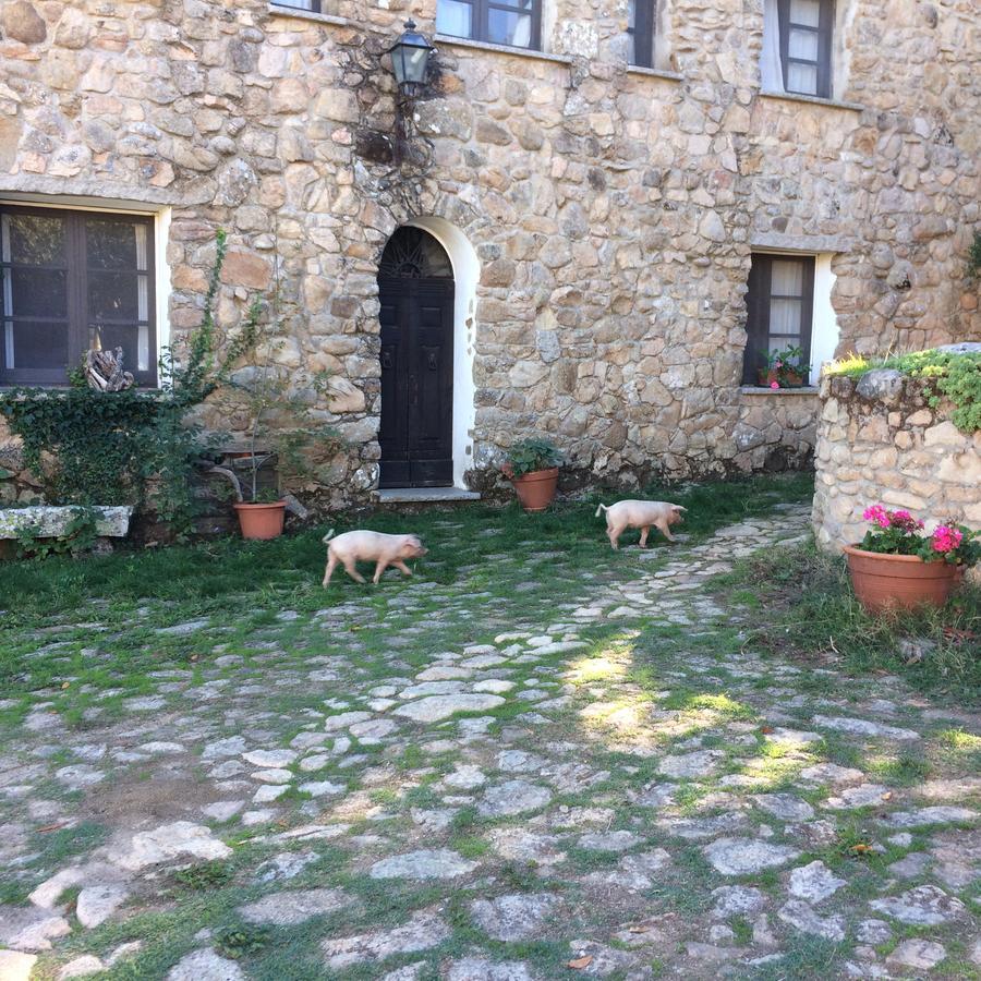 Agriturismo Il Muto Di Gallura Aggius المظهر الخارجي الصورة